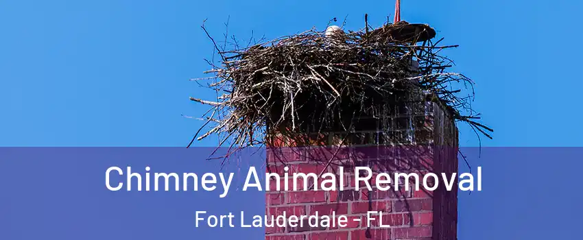 Chimney Animal Removal Fort Lauderdale - FL