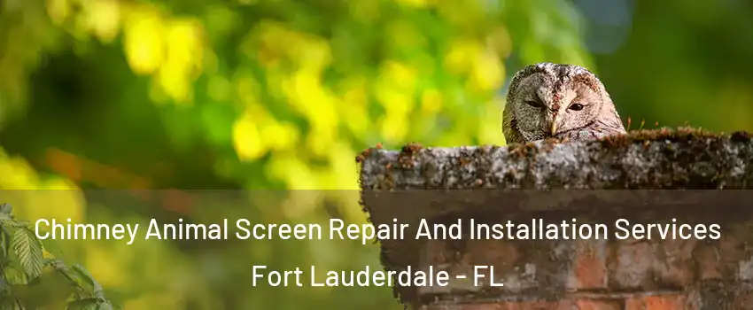  Chimney Animal Screen Repair And Installation Services Fort Lauderdale - FL