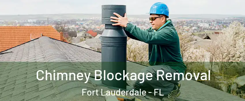  Chimney Blockage Removal Fort Lauderdale - FL