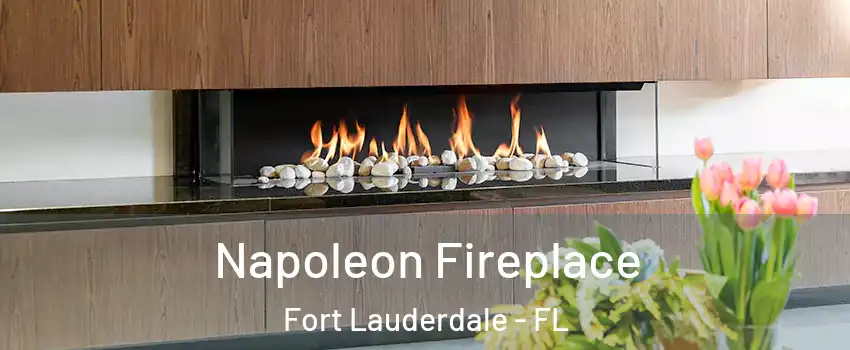  Napoleon Fireplace Fort Lauderdale - FL